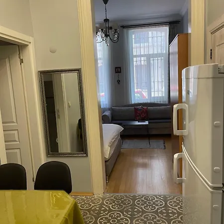 Ozcans Pera Flats 1 דירה *